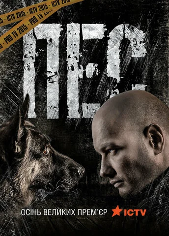 Пёс постер